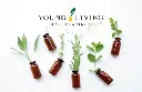 VK_Herbs_2026.webp