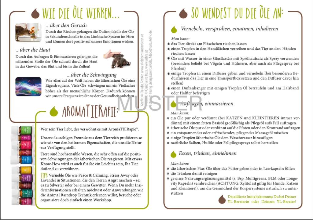 Fellnasen_innen.webp