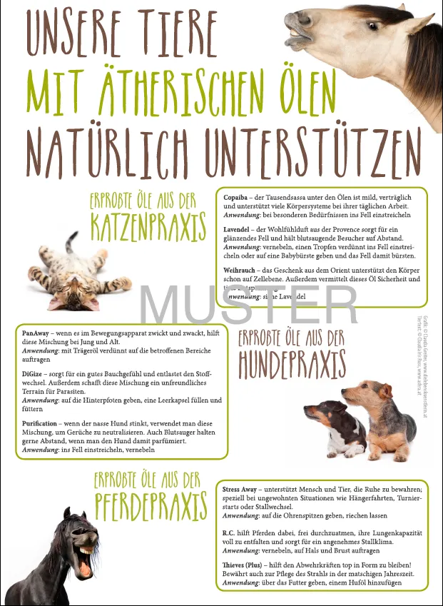 Fellnasen_innenA4.webp