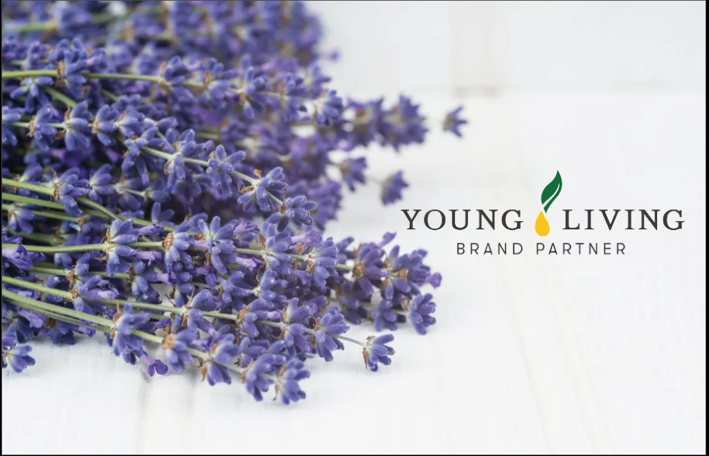 VK_LAvendel_2026.webp