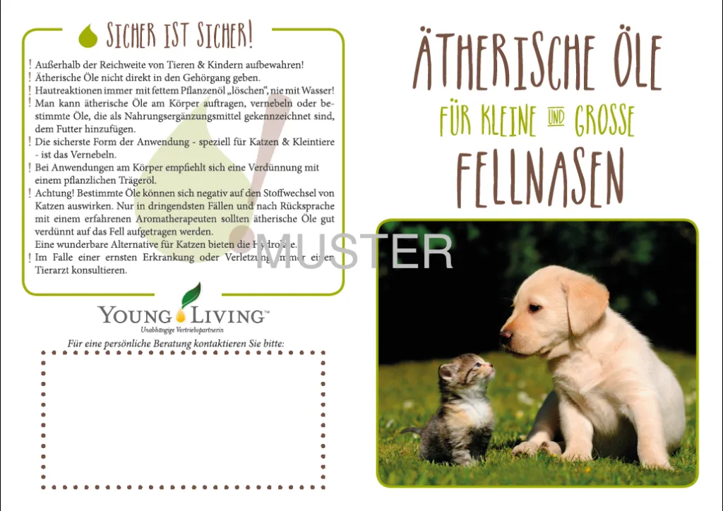 Fellnasen_vorne:hinten.webp