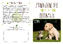 Fellnasen_vorne:hinten.webp
