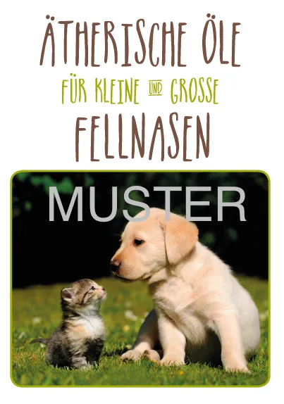 [015/1000] Fellnasen Folder – 1000 Stück