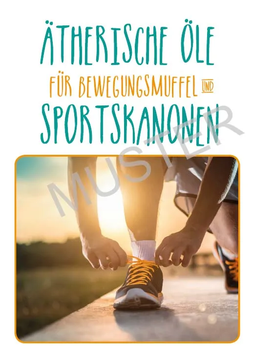 Sportskanonen Folder – 500 Stück