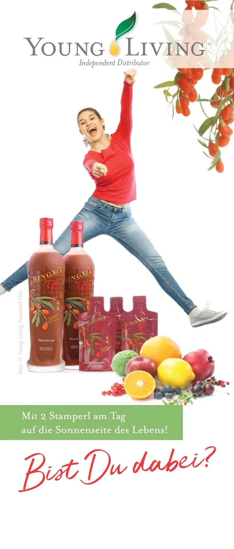 YL BP  Roll Up - individuell gestaltet